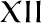 Roman_Numerals_12.png